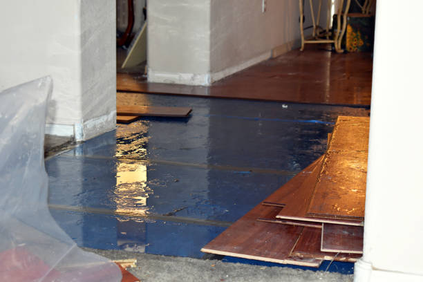 Professional Basement Flood Cleanup technician working in Garden City, KS